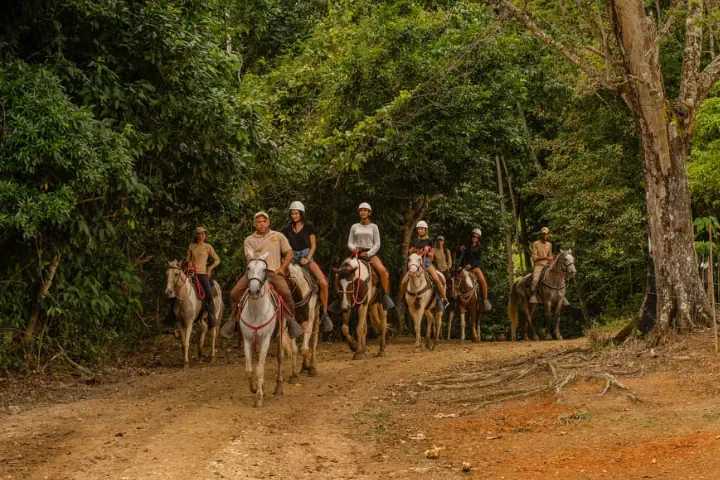 Zipline, wyciąg krzesełkowy, Buggy i przejażdżka konna