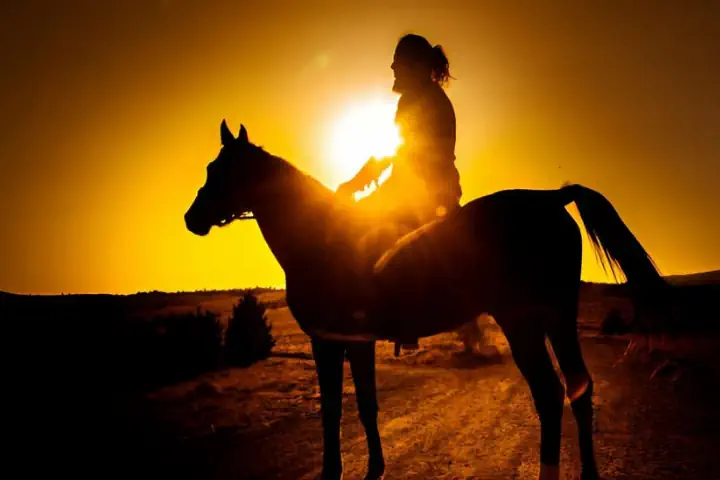 Jazda konna o zachodzie słońca na plaży i w lesie Macao
