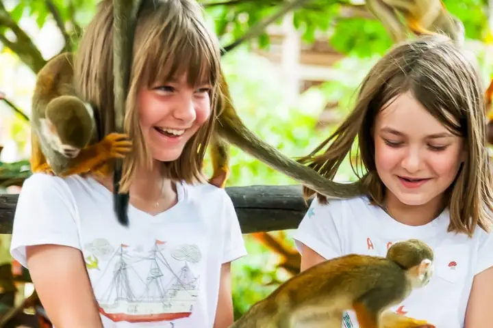 Półdniowe safari w Monkey Land i plantacja