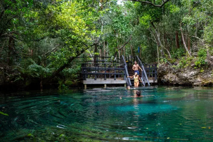 Pływaj w cenotach Ojos Indígenas